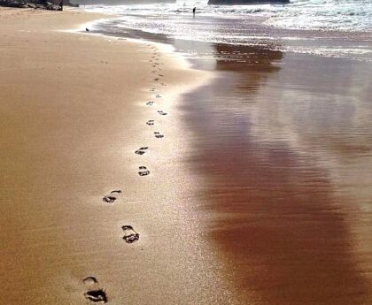 generalhealthcare | Gibson Steps: Scenic Beach Access on the Great Ocean Road