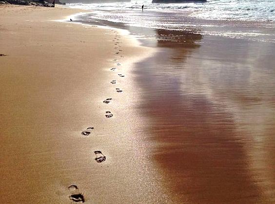 generalhealthcare | Gibson Steps: Scenic Beach Access on the Great Ocean Road