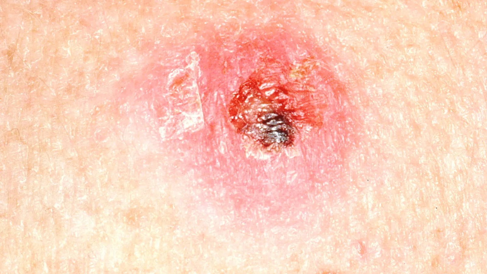 Skin Health, Wellness & Professional Beauty Care — detail