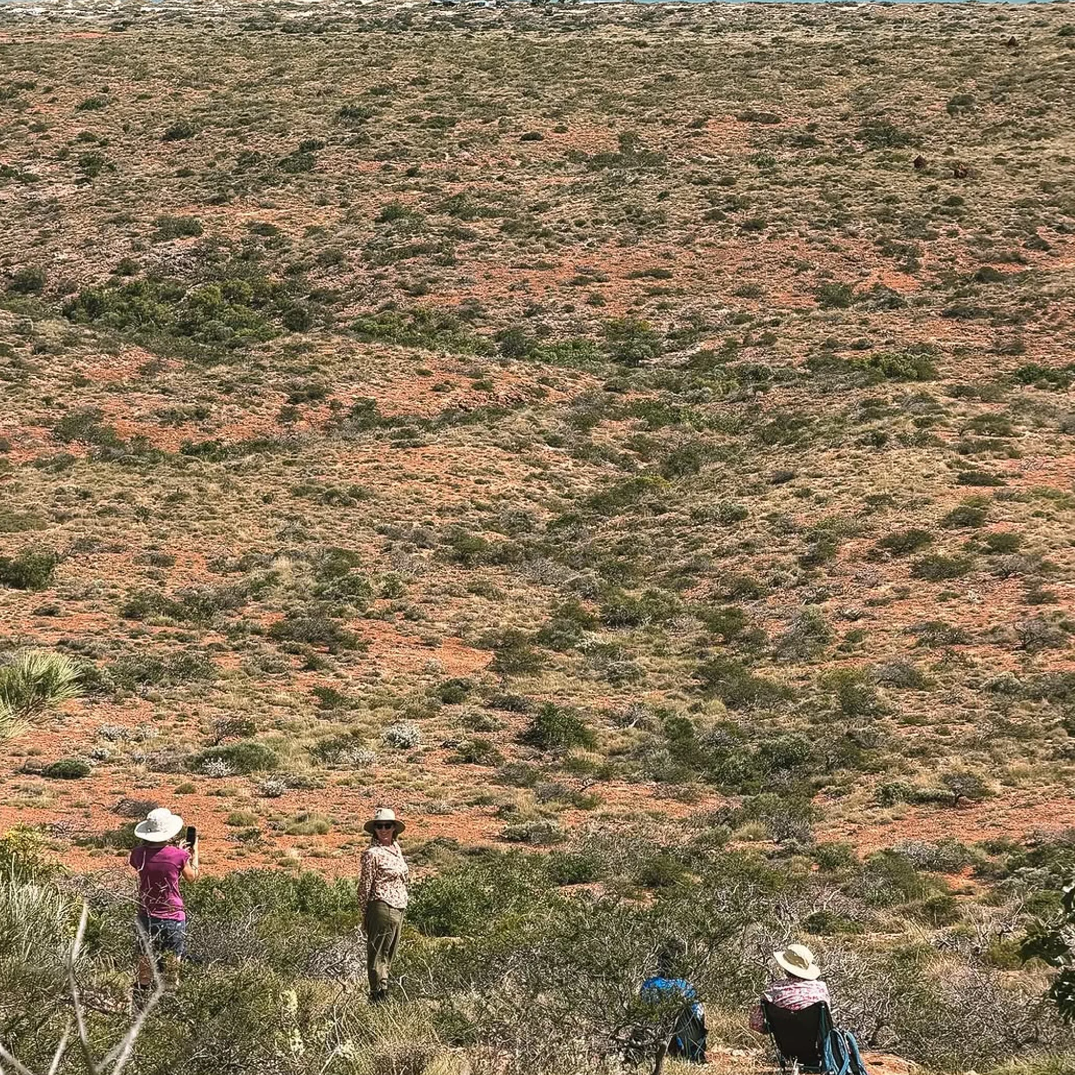 people hiking rugged australian coastline