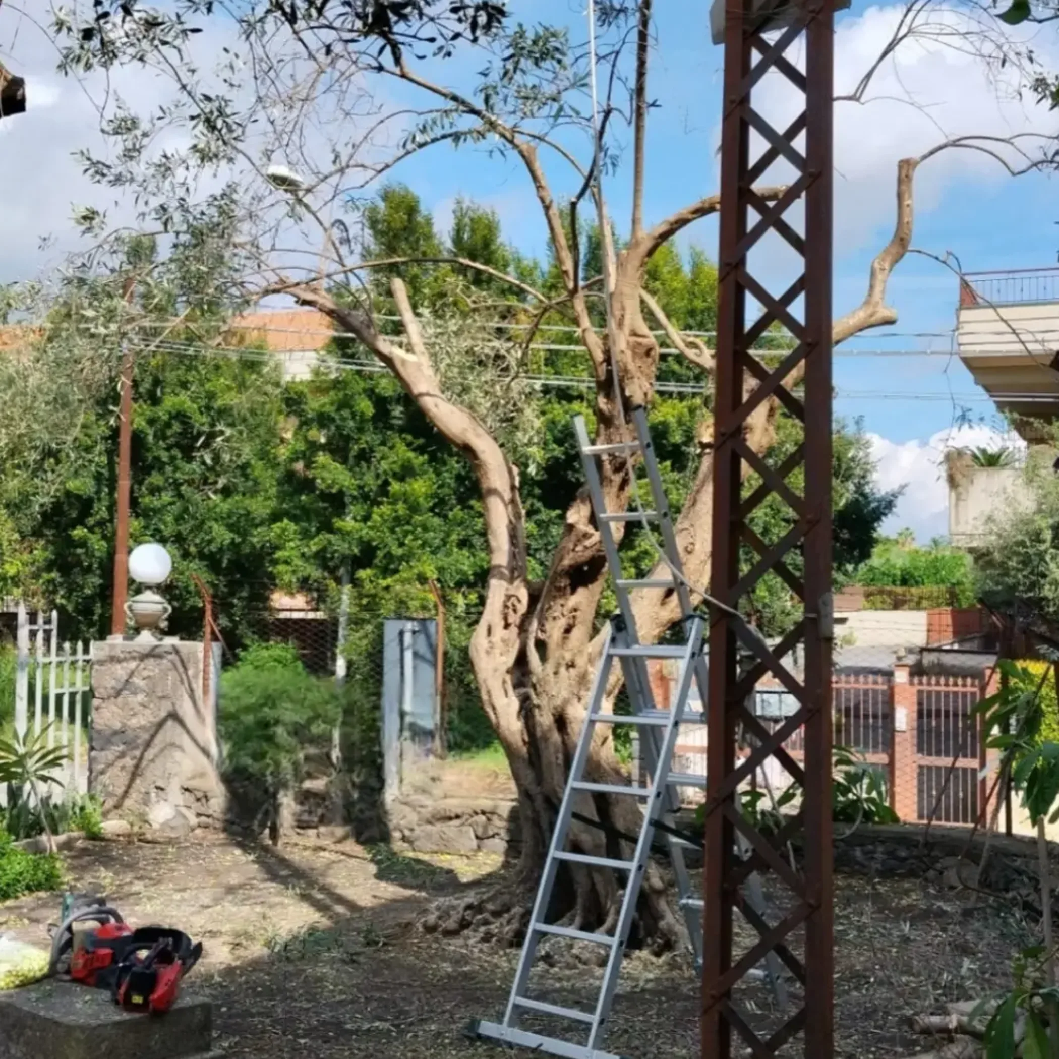 work at height with ladder